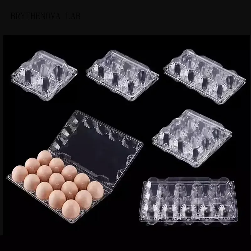 20pcs 일회용 플라스틱 계란 상자 투명 두꺼운 안티 - Event Party Box 리뷰 및 가격