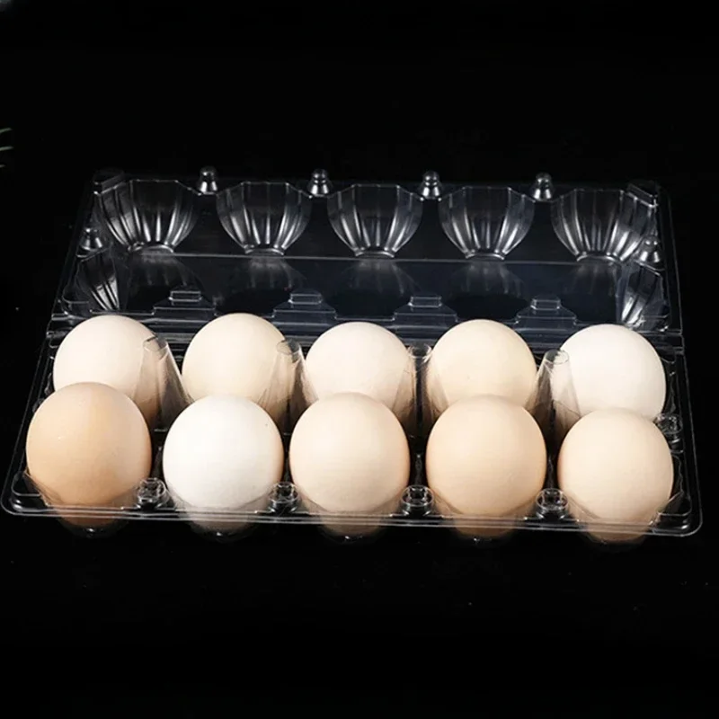 20pcs 일회용 플라스틱 계란 상자 투명 두꺼운 안티 - Event Party Box 리뷰 및 가격